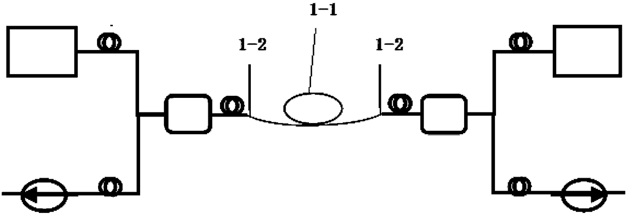 A detection system and method based on erbium-doped micro-nano fiber ring junction laser