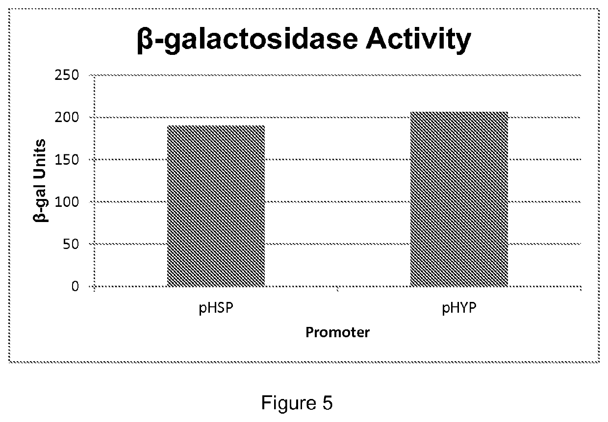 Promoters suitable for heterologous gene expression in yeast