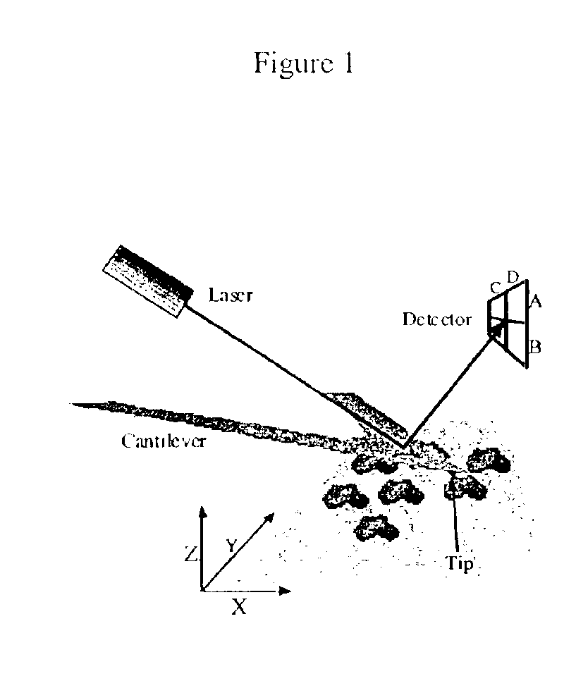 Device and method of use for detection and characterization of pathogens and biological materials