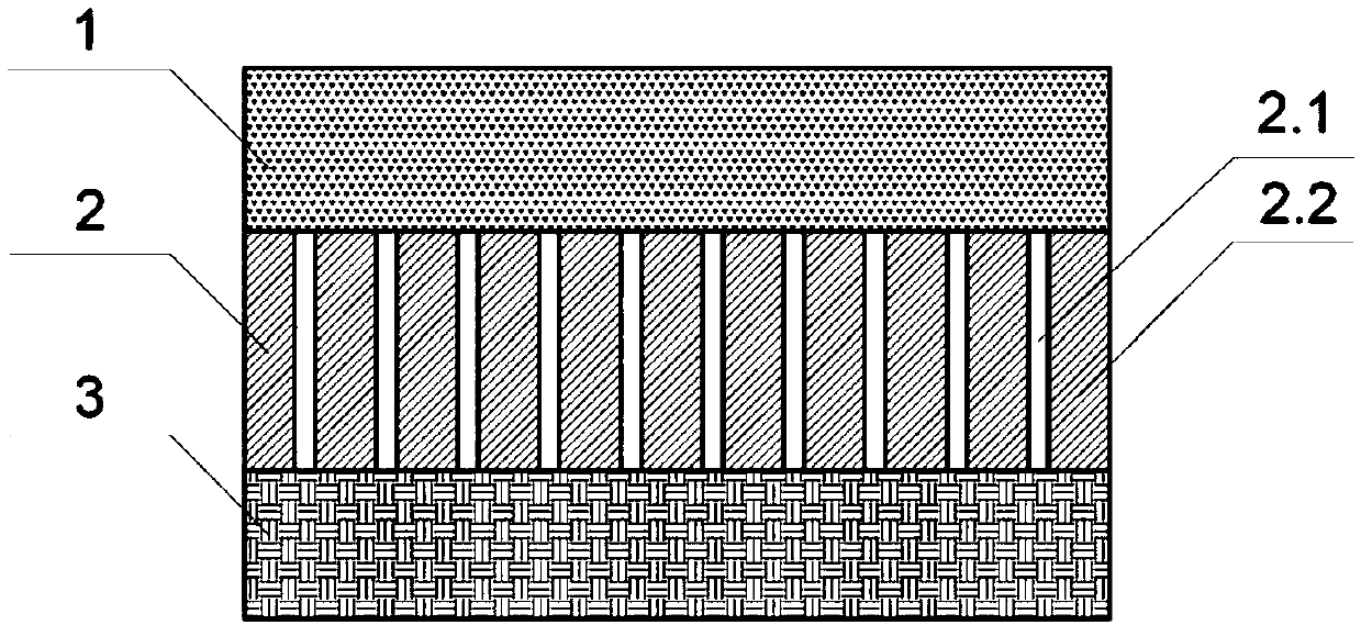 Dynamic membrane based on nuclear track membrane and preparation method and application of dynamic membrane