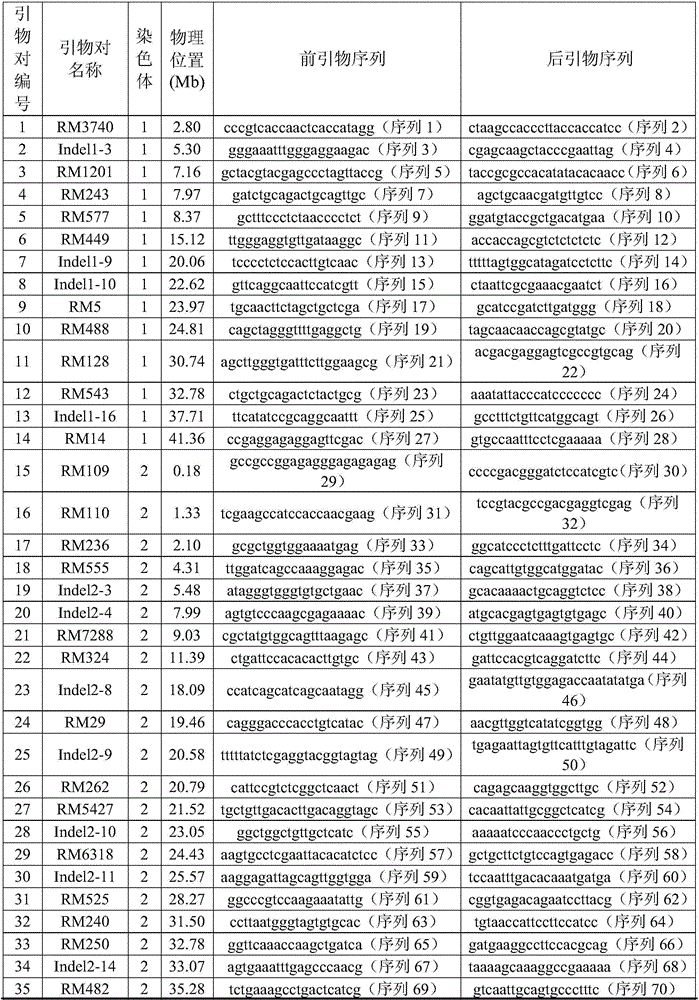 Construction method of wild rice chromsome segment substitution line