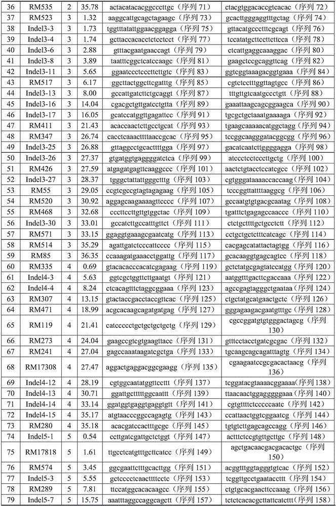 Construction method of wild rice chromsome segment substitution line