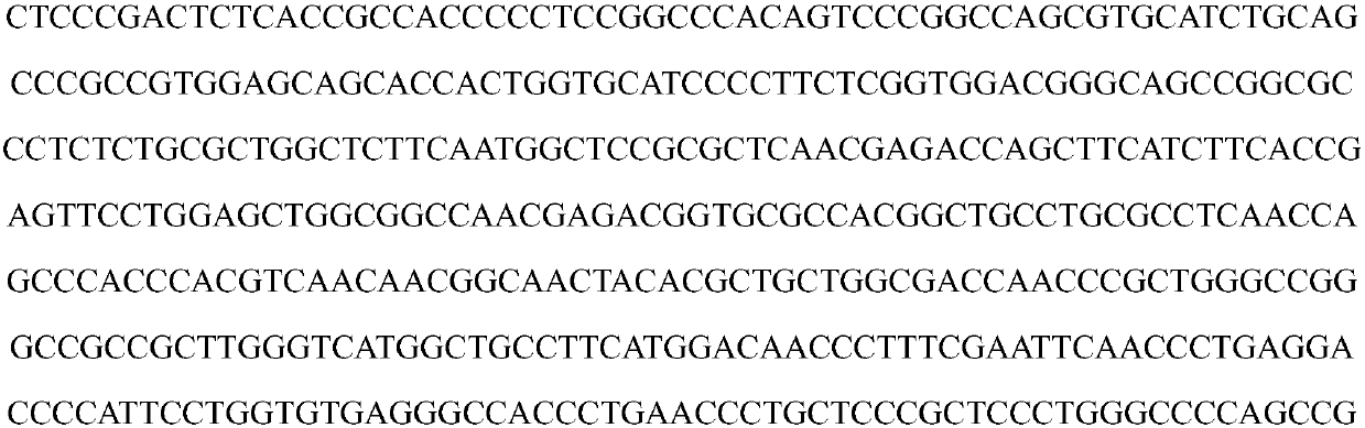 Molecular marker of TrkA gene as sheep lambing number characteristic and application of molecular marker