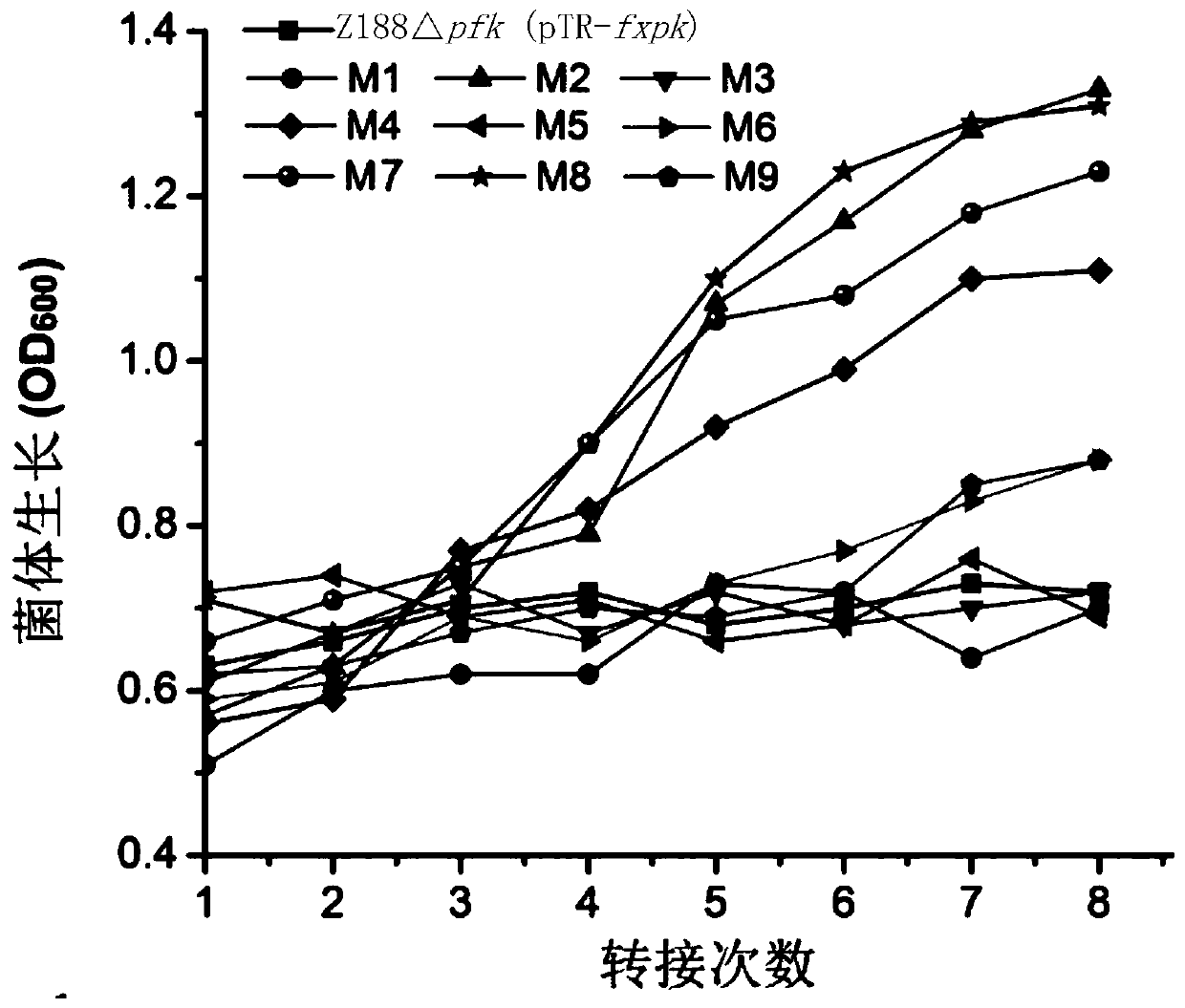 Phosphoketolase with increased activity and application thereof in production of metabolites