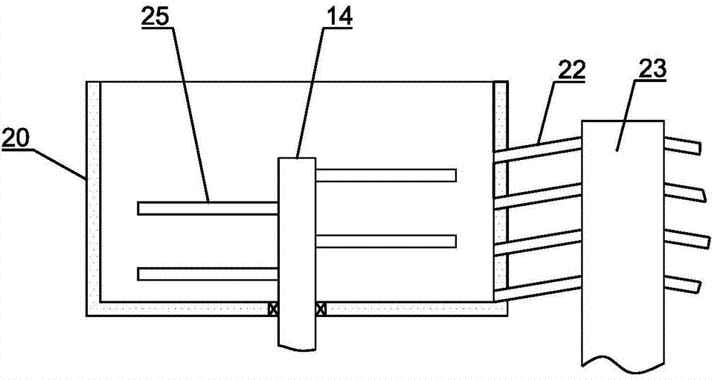 Self-rotating-type Lindera aggregata surface dirt removal device
