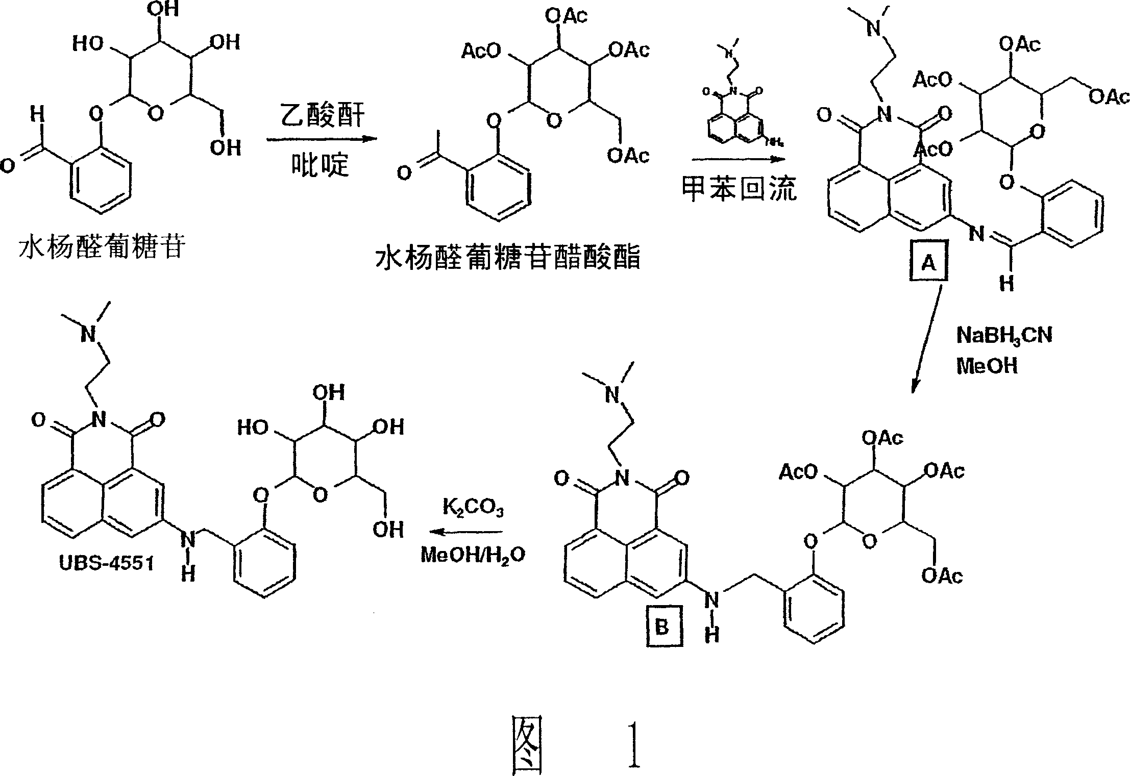 Naphthalimide derivatives for the treatment of cancer