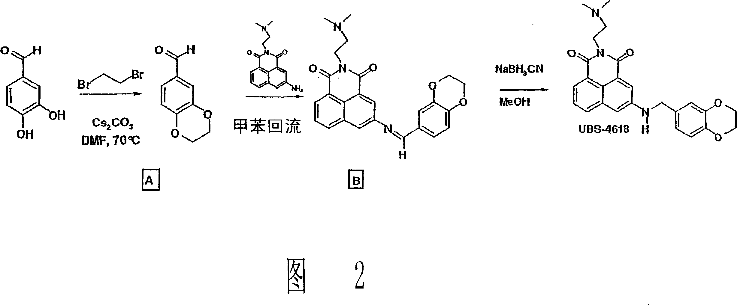 Naphthalimide derivatives for the treatment of cancer