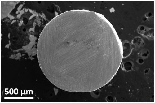 Foam metal/high-entropy metal glass composite material with large compression strain and preparing method of foam metal/high-entropy metal glass composite material