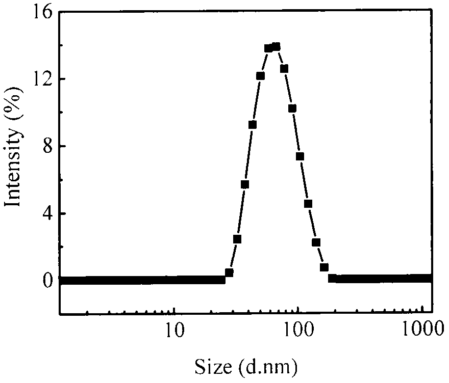 A kind of tripterine nano-suspension and preparation method thereof