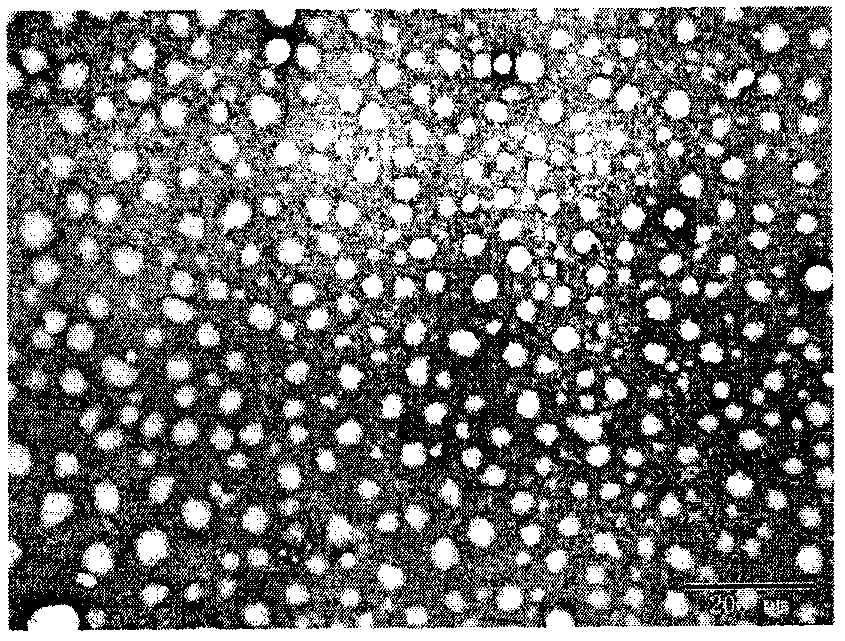 A kind of tripterine nano-suspension and preparation method thereof