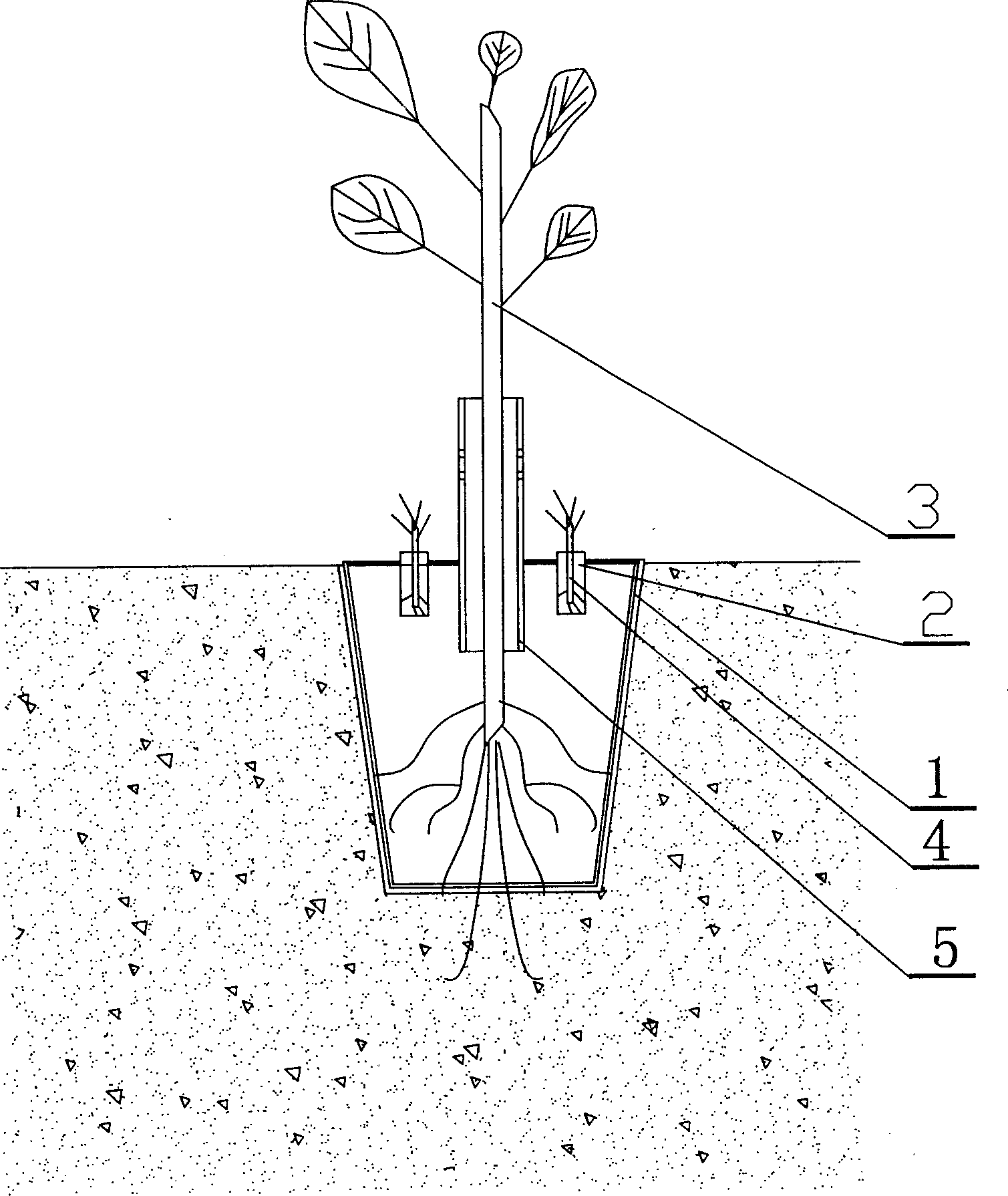 Method for planting arbor and bush in a hole