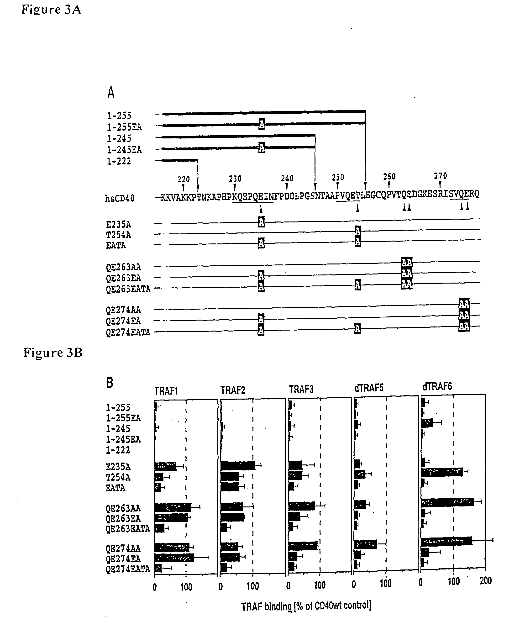 Method and kit for monitoring recruitment of proteins to the intracellular domain of a receptor in intact cells