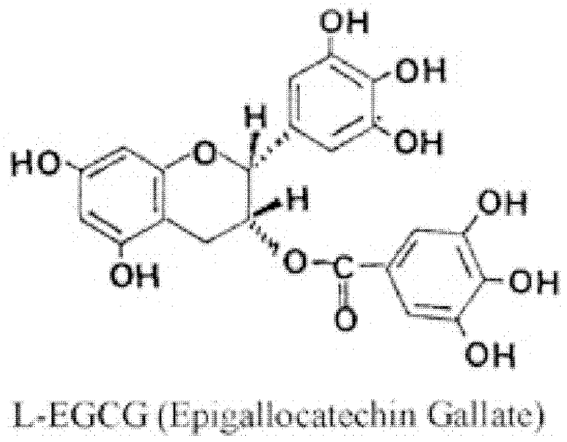 Application of epigallocatechin gallate