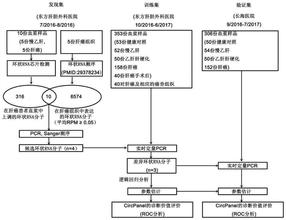 Liver cancer diagnostic markers and diagnostic kits composed of plasma circular RNA