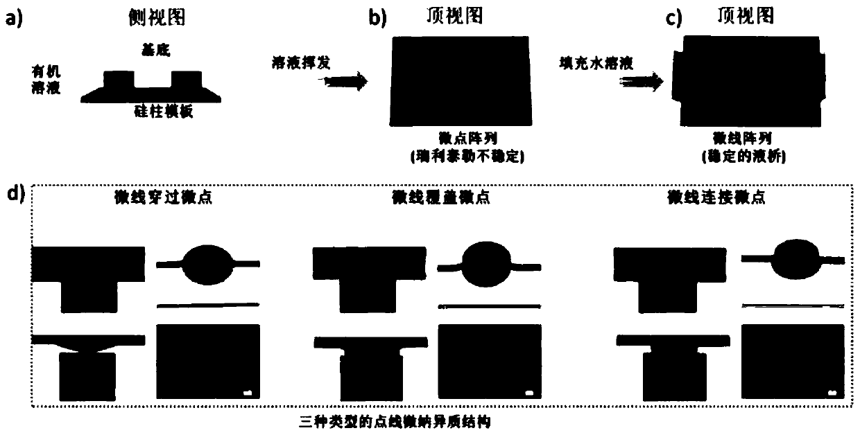 A Printing Method of Functional Micro-Nano Heterostructure