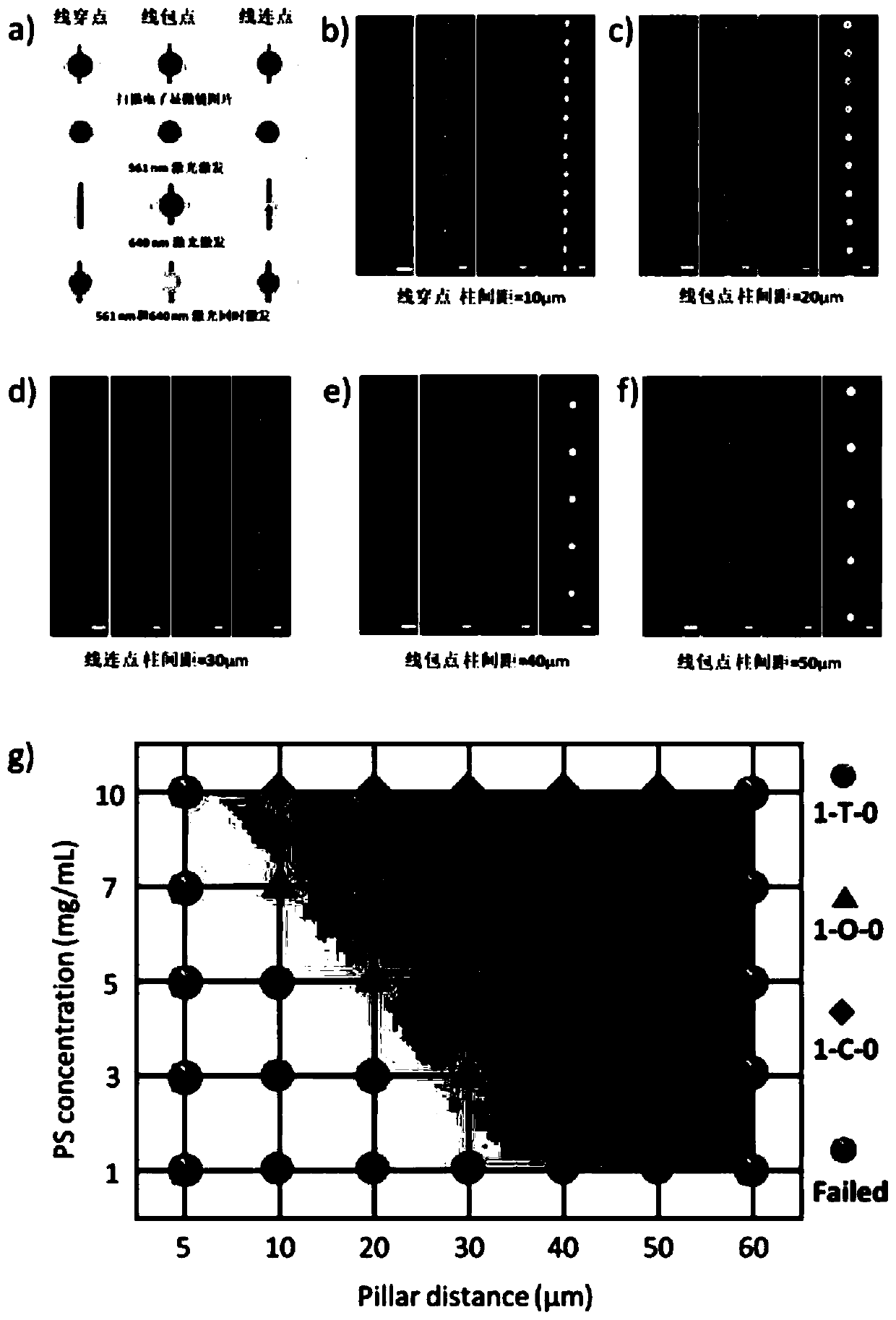 A Printing Method of Functional Micro-Nano Heterostructure