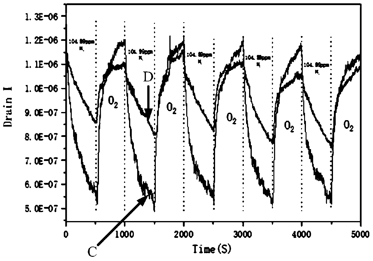 Carbon nanotube field effect transistor sensor and manufacturing method thereof