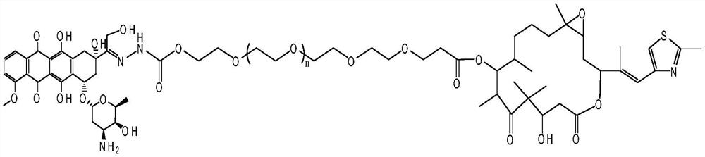 A kind of doxorubicin polyethylene glycol epothilone b conjugate and preparation method thereof