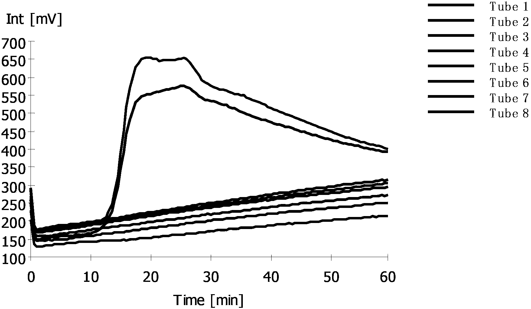 RT-LAMP detection primer group of spring viremia of carp virus (SVCV), kit and detection method