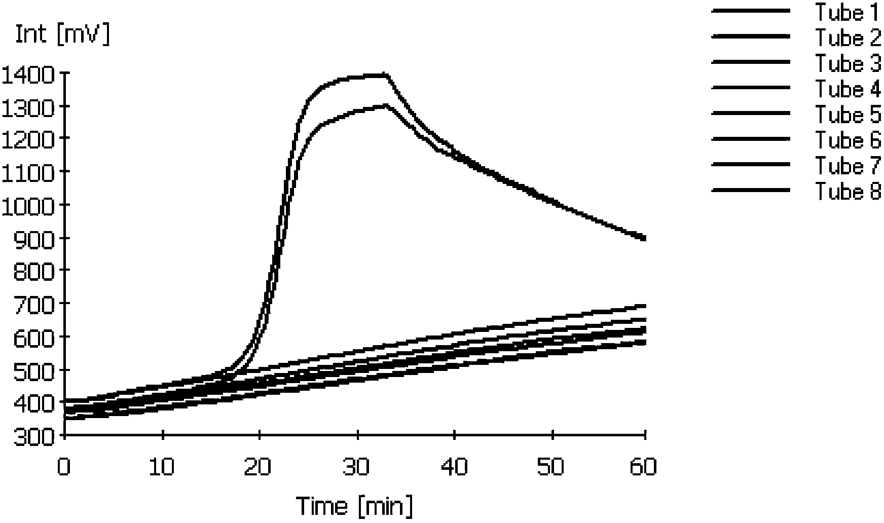 RT-LAMP detection primer group of spring viremia of carp virus (SVCV), kit and detection method