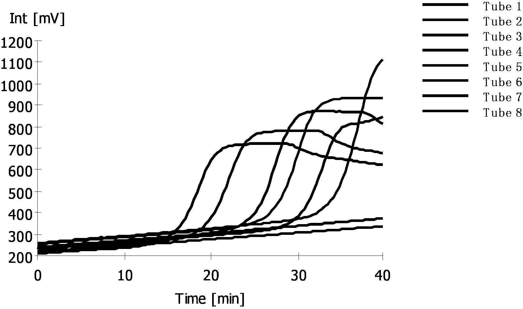 RT-LAMP detection primer group of spring viremia of carp virus (SVCV), kit and detection method