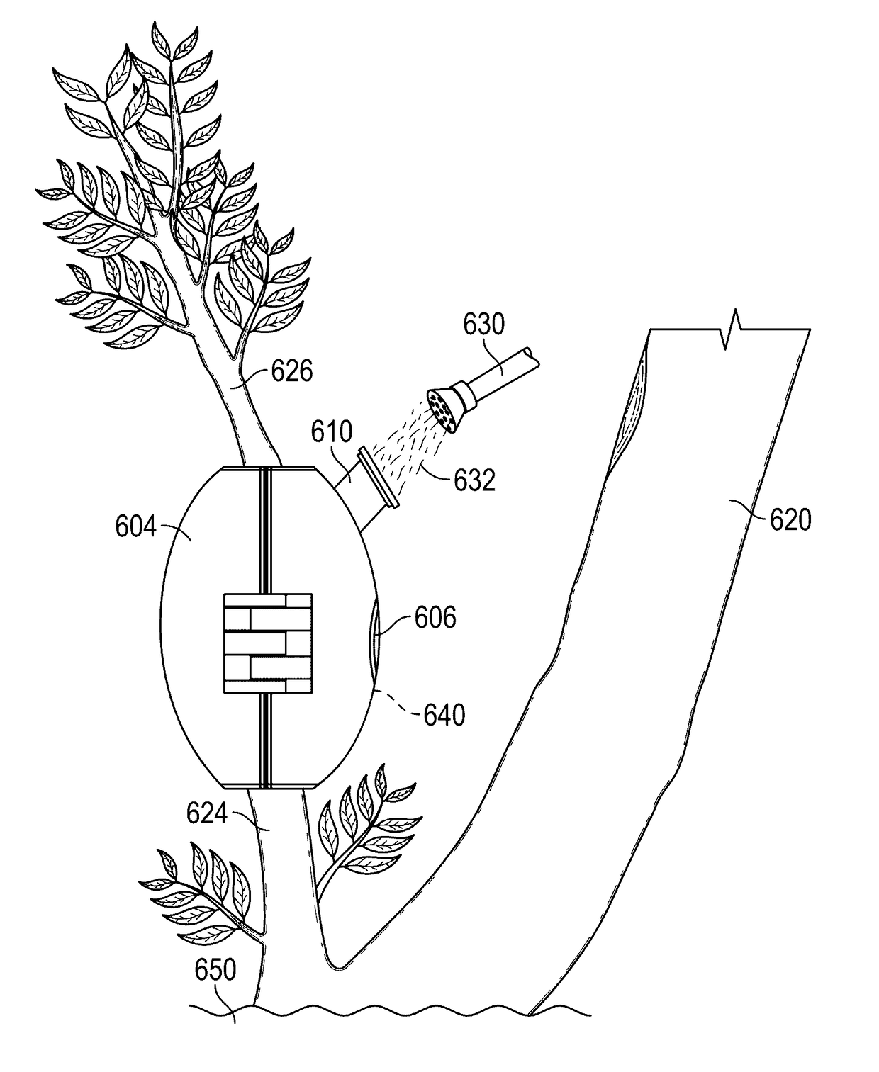 Plant Limb Root Germination Method and Apparatus