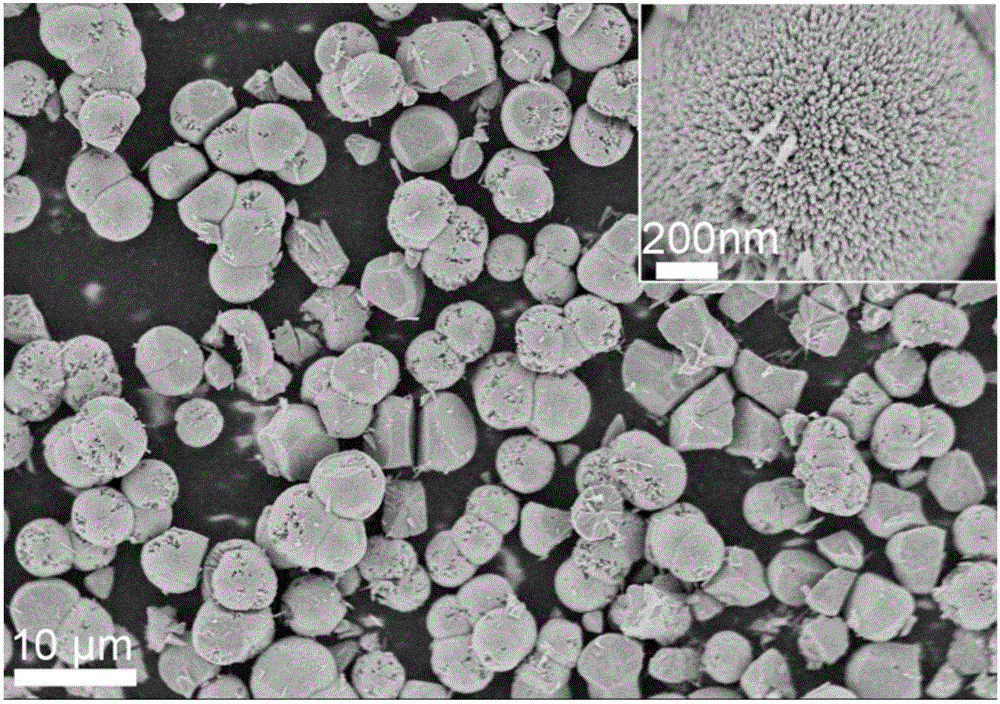 MoSe2 nanosheet composite fireworks-shaped TiO2 nanorod array and preparation method thereof