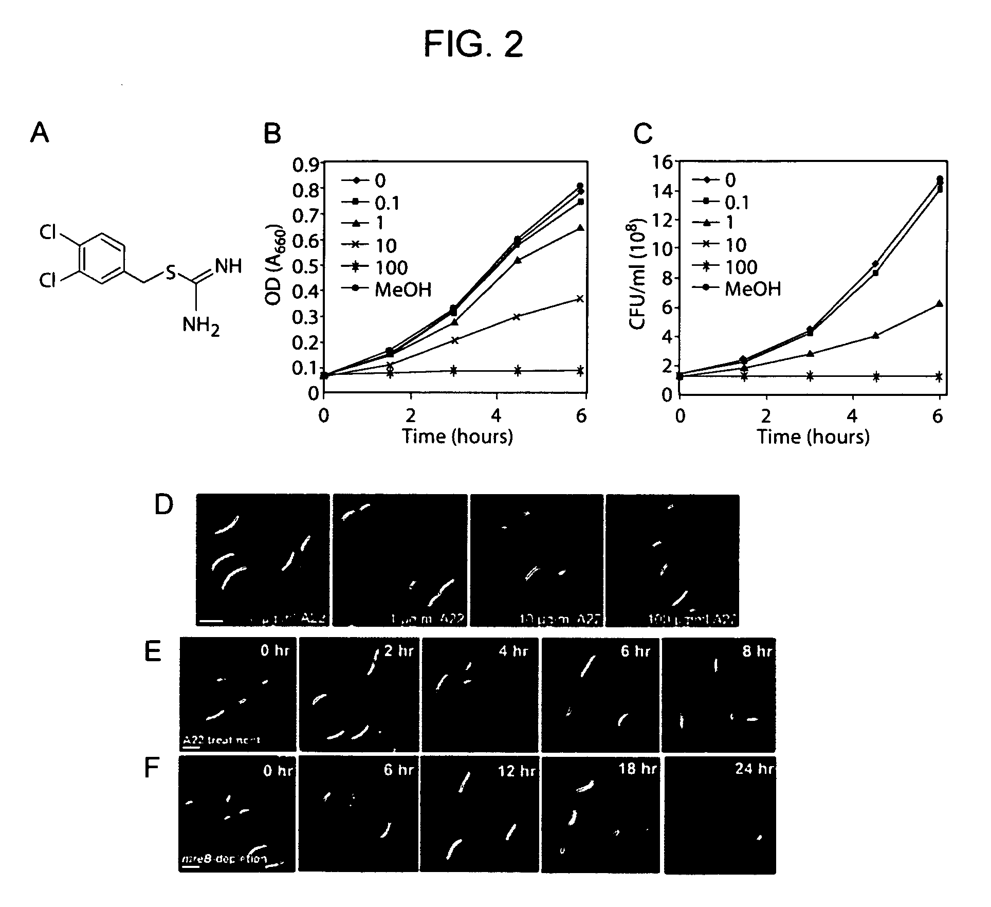 Antibiotics targeting MreB