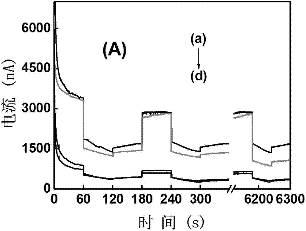 Electrochemistry ampere detection method for quantitively detecting polymerase chain reaction (PCR) based on methylene blue indicator