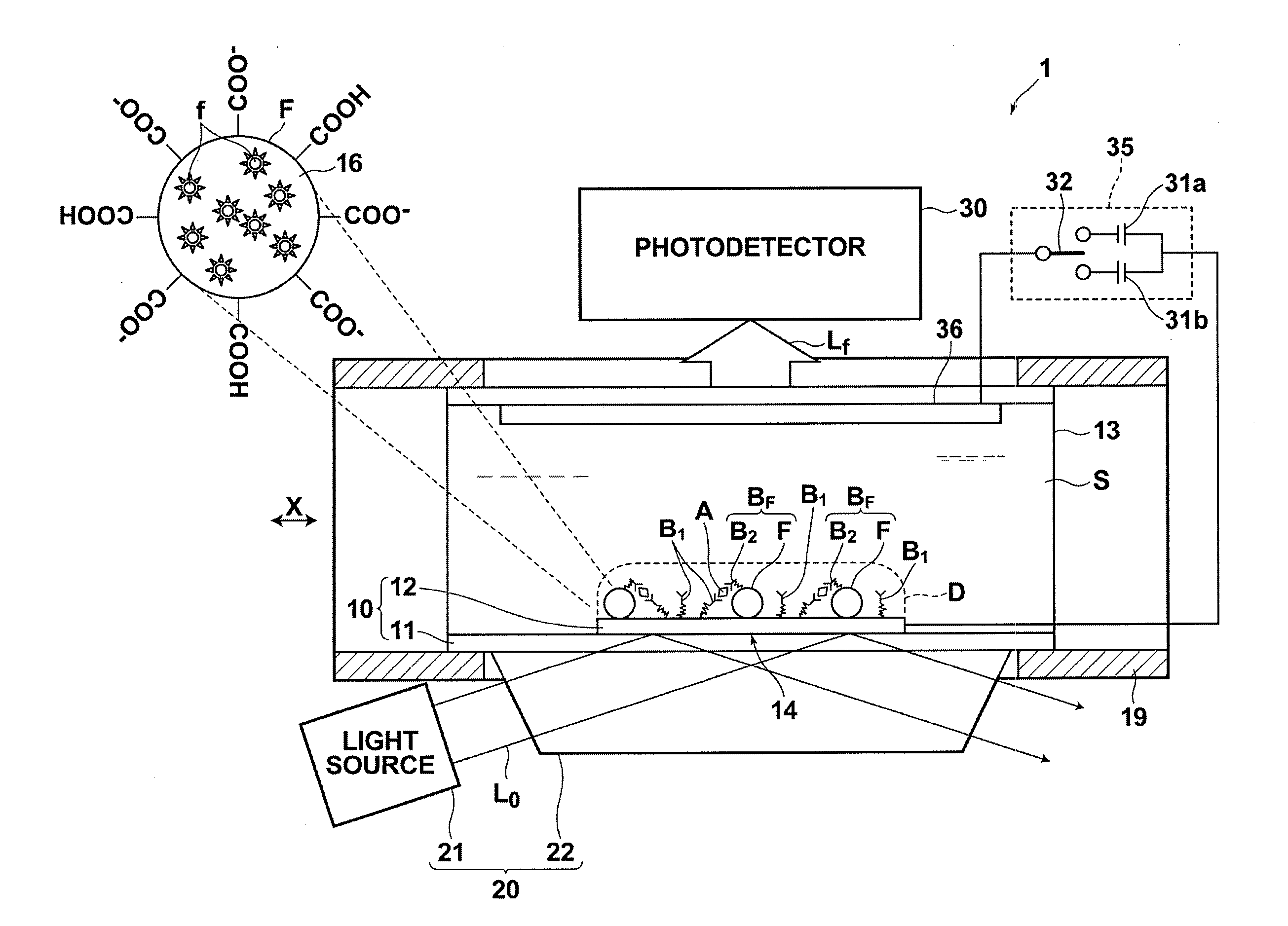 Detection method, detection apparatus, and sample cell and kit  for detection