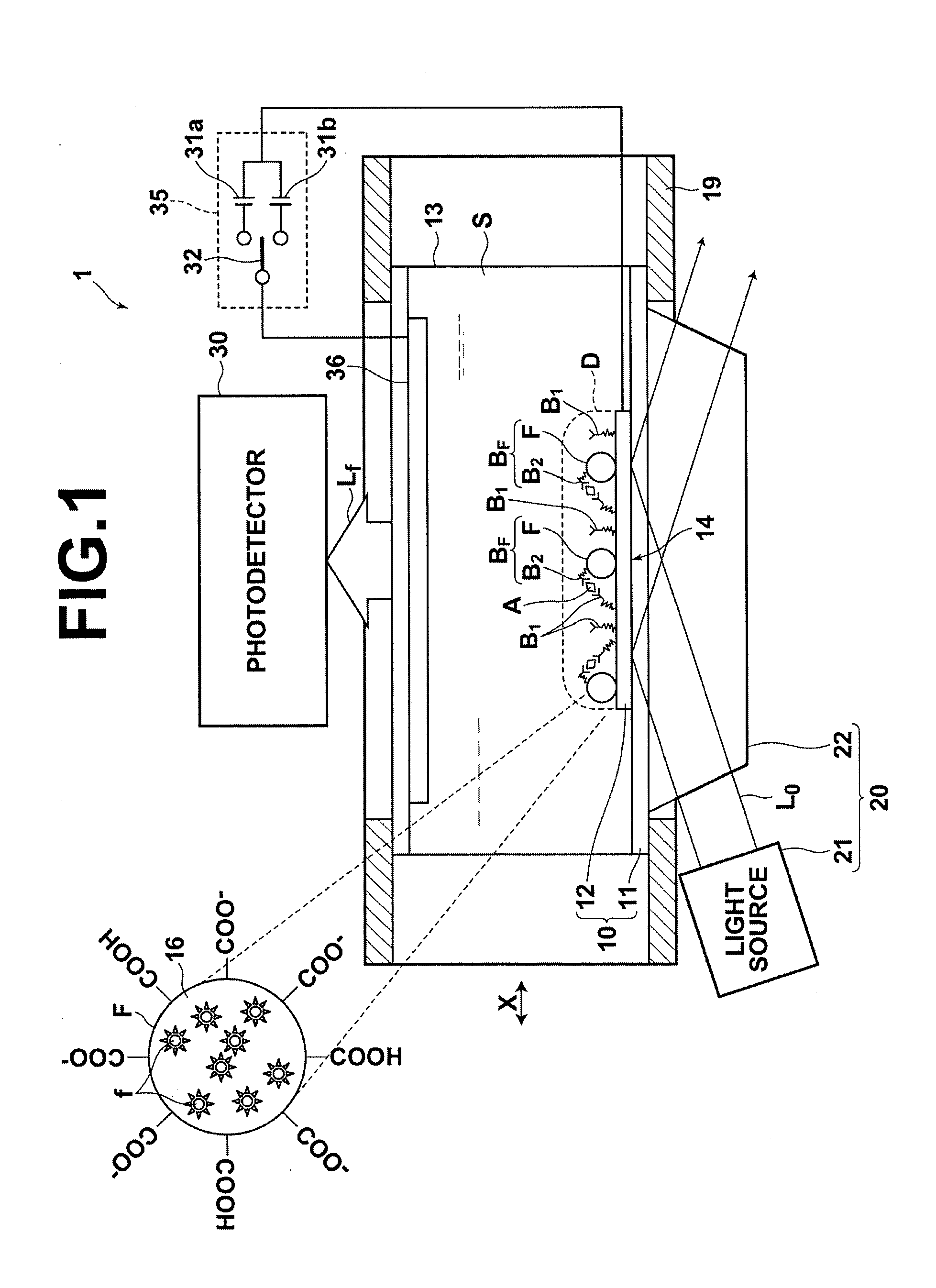 Detection method, detection apparatus, and sample cell and kit  for detection