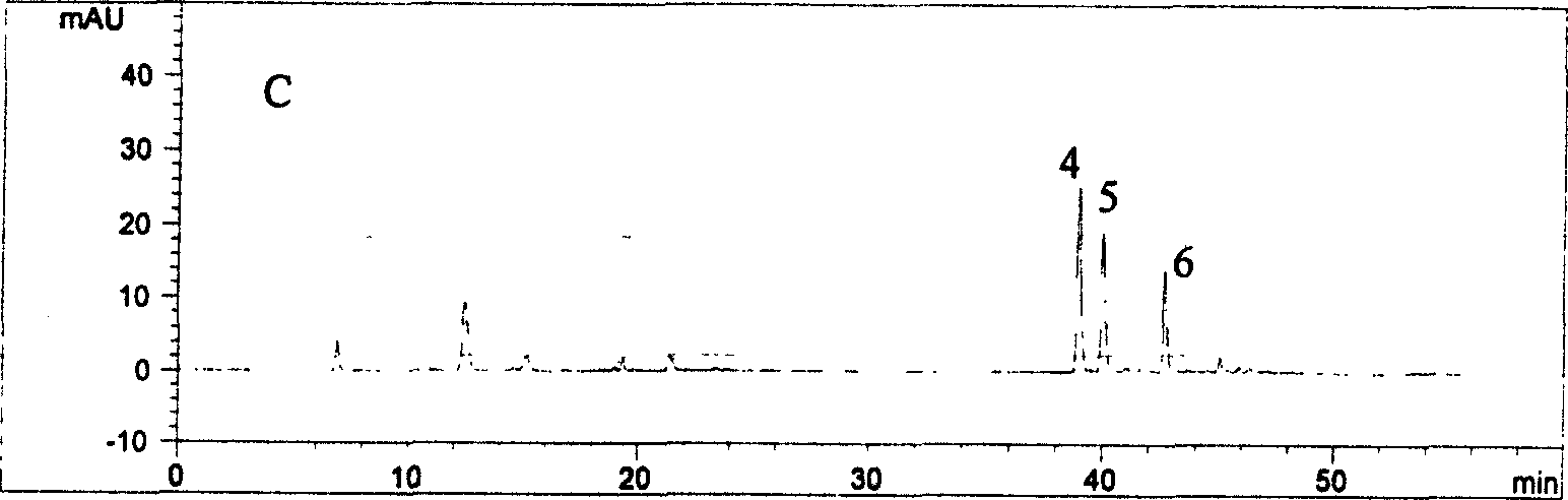 Method for extracting compound of phenolic acid from leaves of woodbind