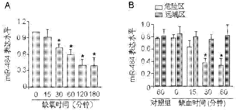Novel application of miRNA-484 and pharmaceutical composition containing miRNA-484 and its application