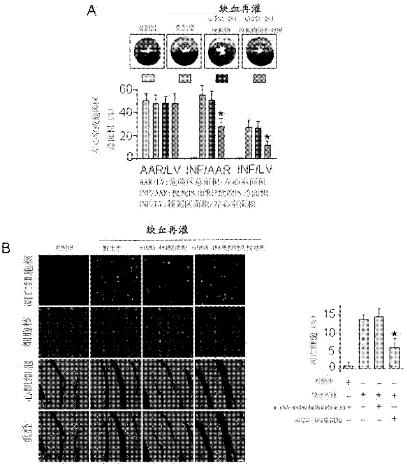 Novel application of miRNA-484 and pharmaceutical composition containing miRNA-484 and its application