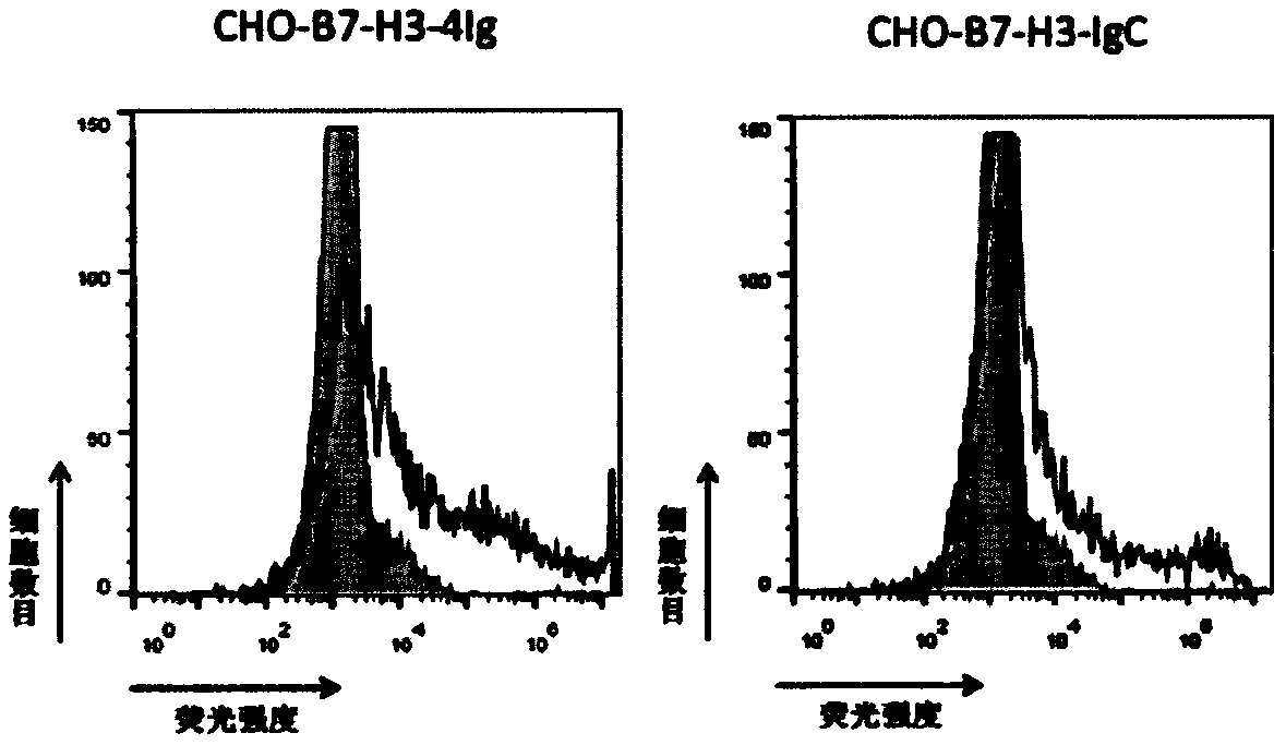 Development and application of tumor treatment agent containing antibody