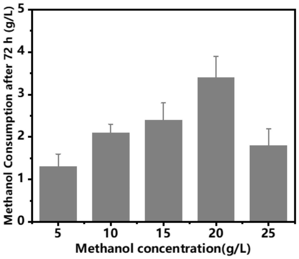 Recombinant yarrowia lipolytica genetically engineered bacterium biotransformed by methanol as well as construction method and application of recombinant yarrowia lipolytica genetically engineered bacterium