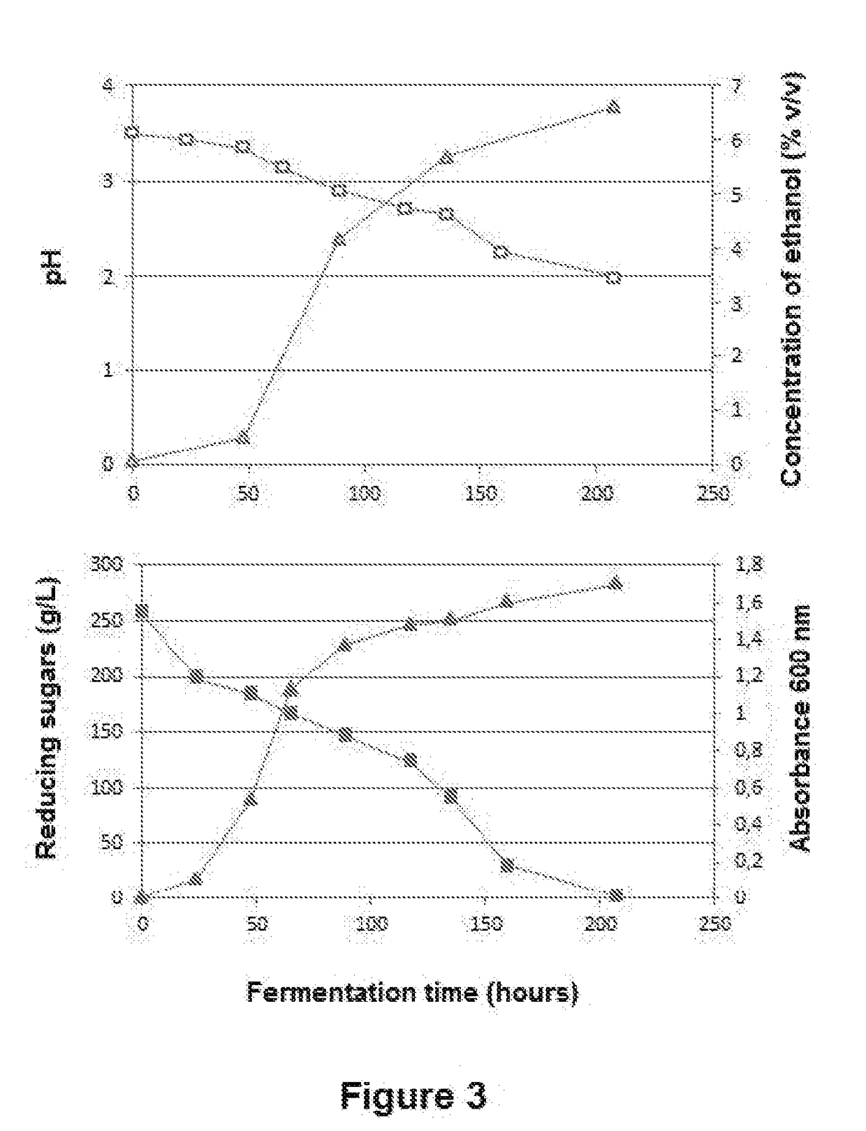 Methodology for preparing ethanol-reduced fermented beverages