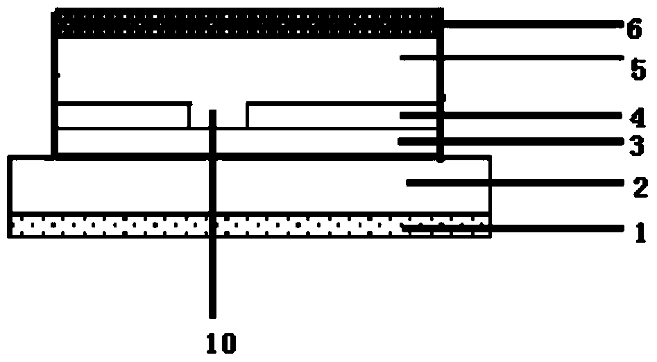 A kind of oled screen body and preparation method thereof