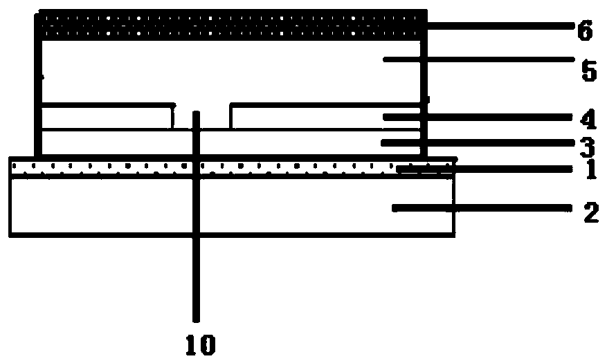 A kind of oled screen body and preparation method thereof