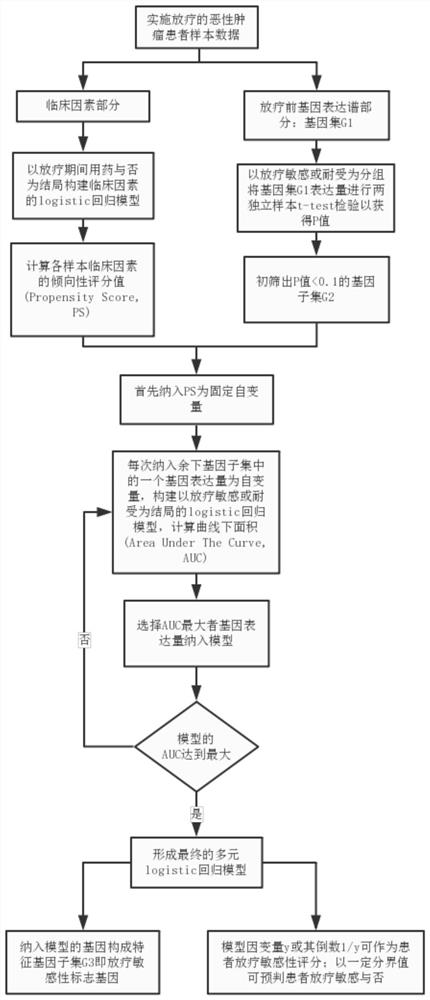 Screening method for radiosensitivity marker genes with balanced clinical confounding factors