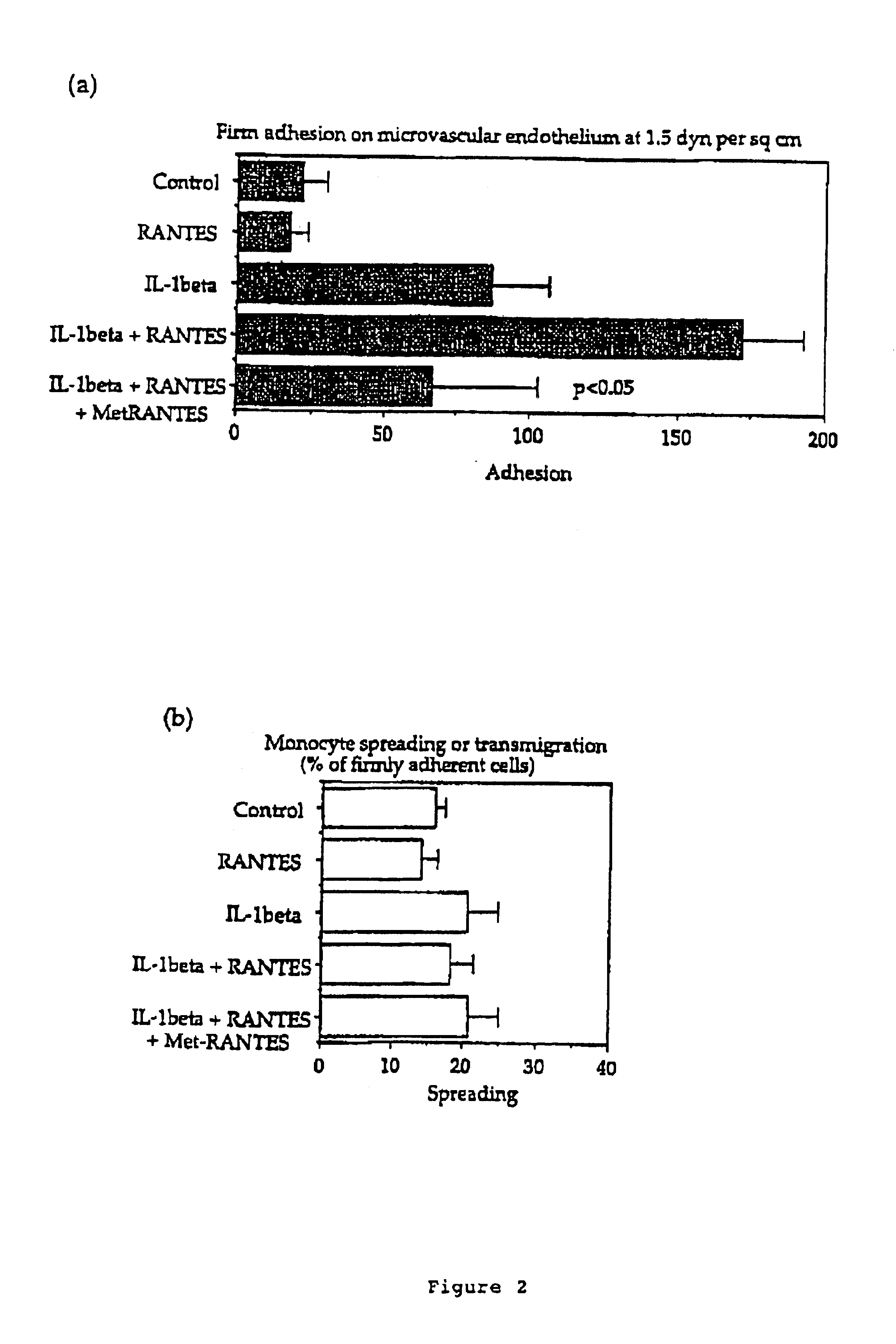 Chemokine receptor antagonist and cyclosporin in combined therapy