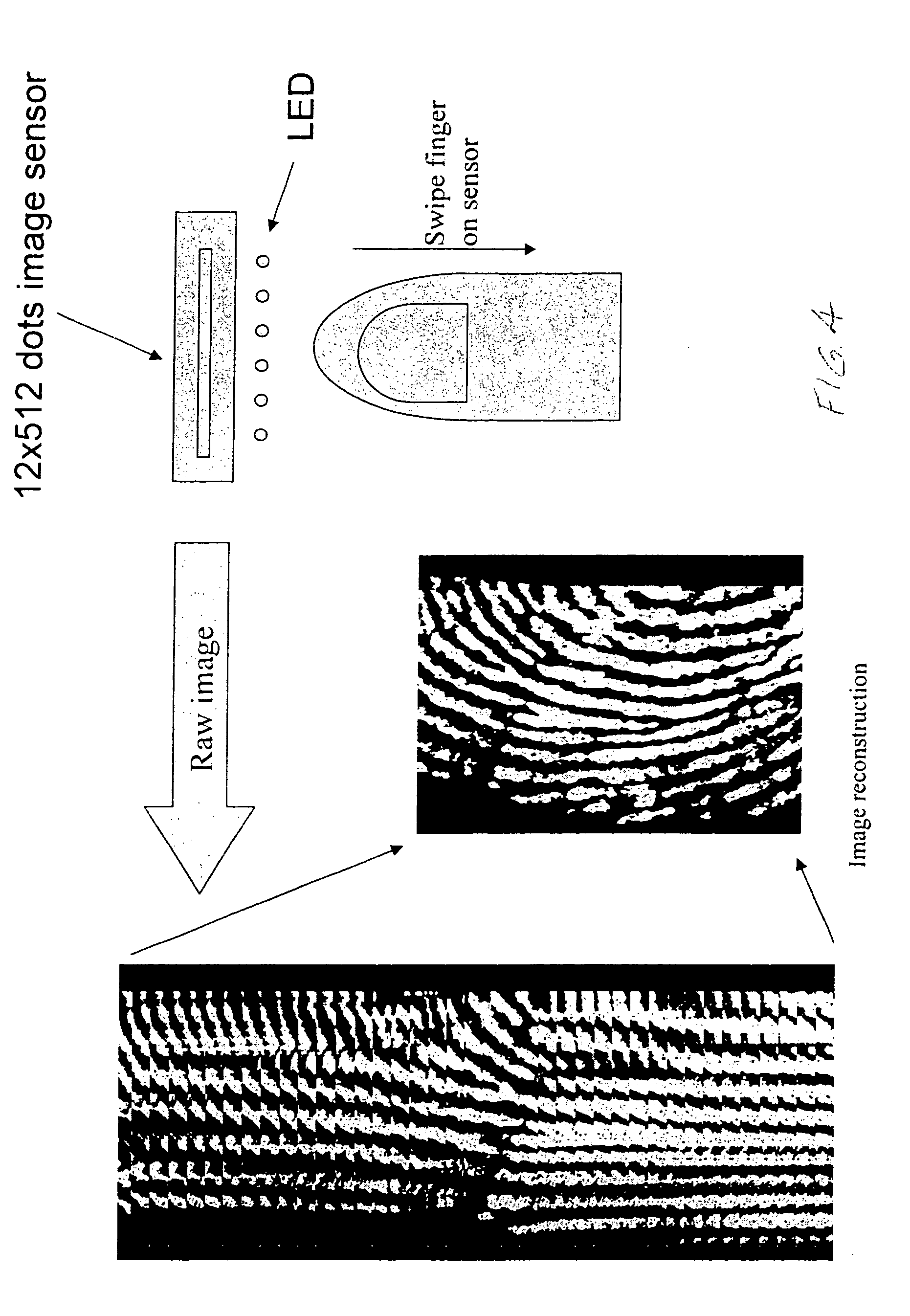 Fingerprint apparatus and method