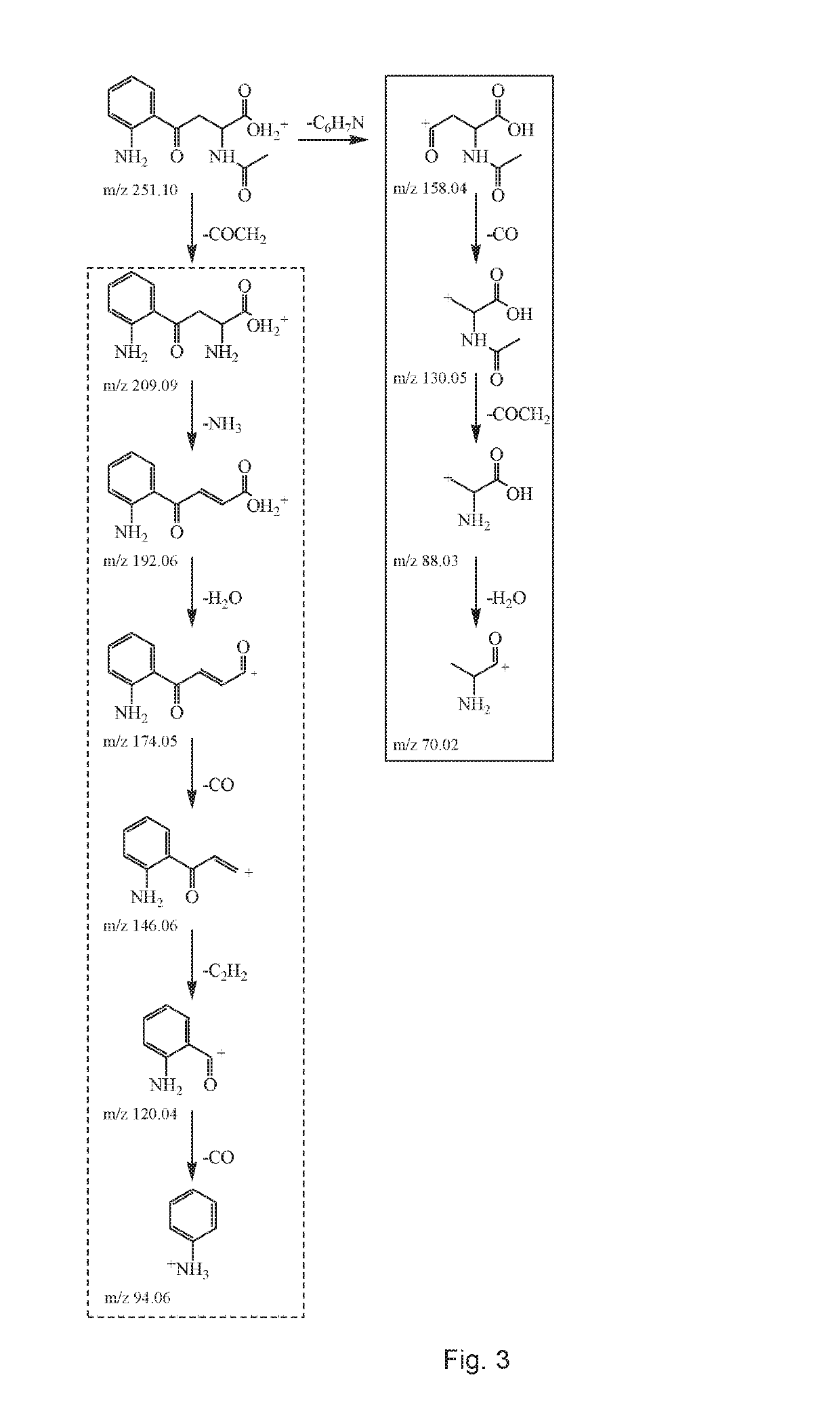 Treatment of disease with n-acetyl kynurenine