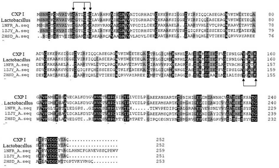 A carbonyl reductase resistant to high concentration of alcohol solution and its application