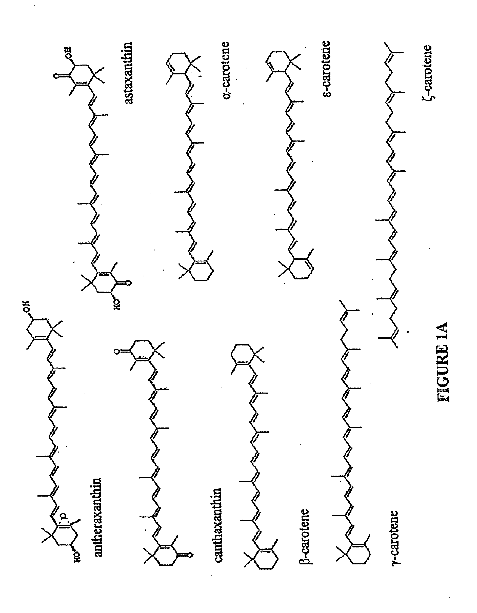 Production of carotenoids in oleaginous yeast and fungi