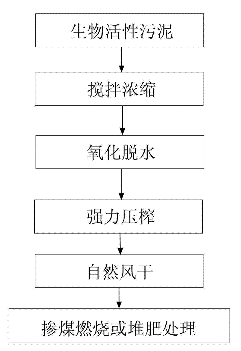 Reducing and recycling treatment method for biological activated sludge