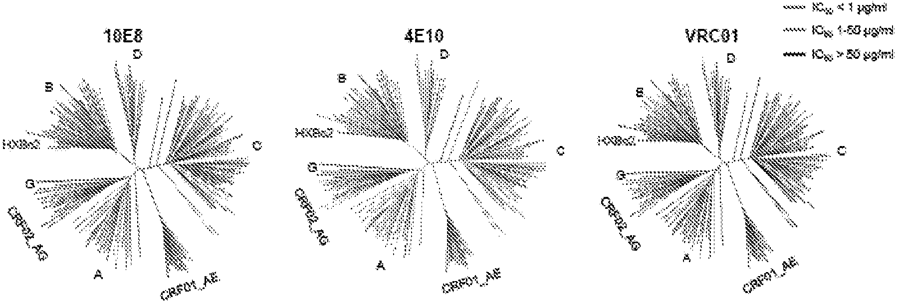 Neutralizing gp41 antibodies and their use