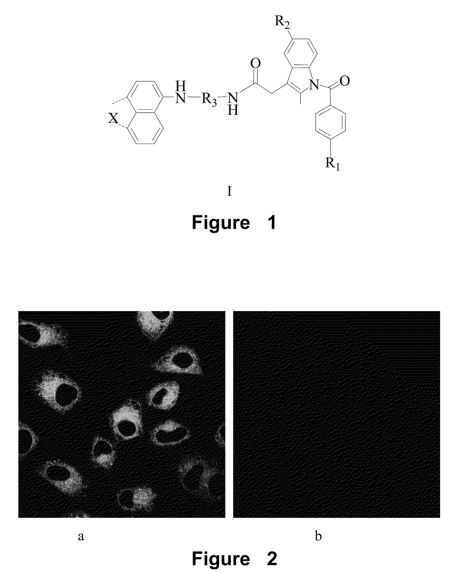 Naphthalene-based two-photon fluorescent probes, preparation method and use thereof