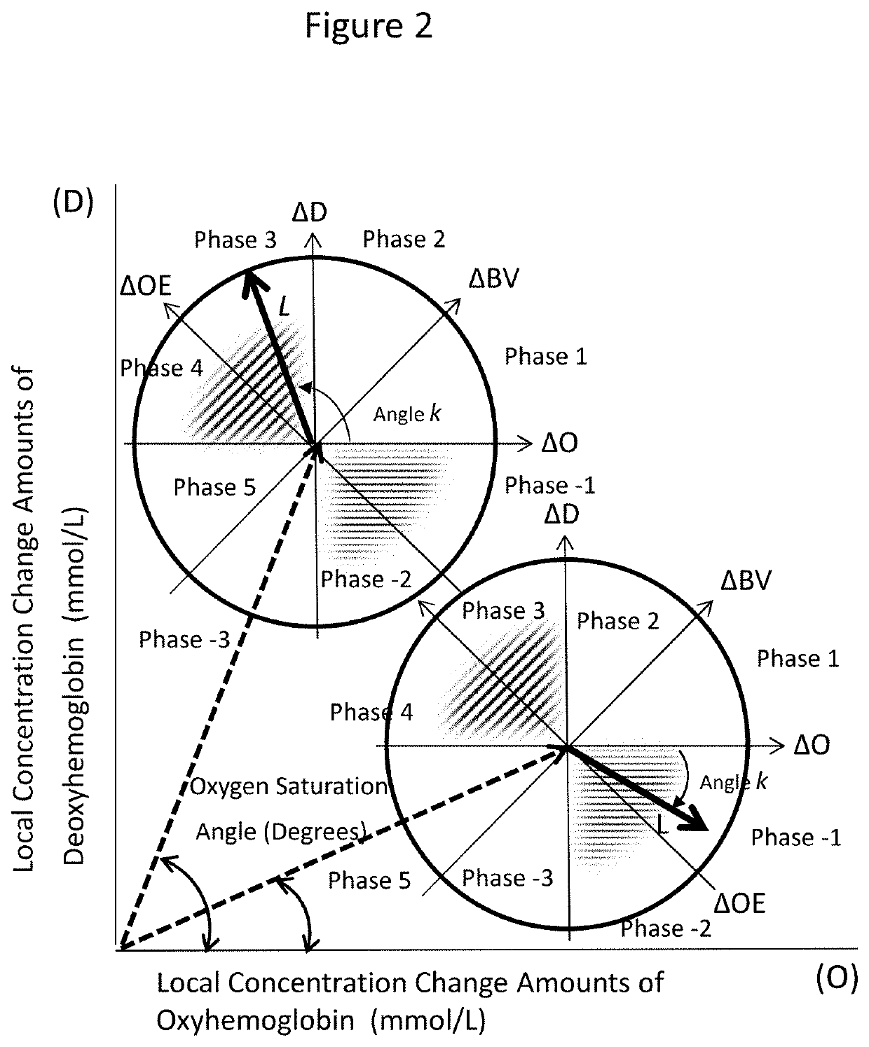 Apparatus for measuring biological function, a method and a program for measuring biological function