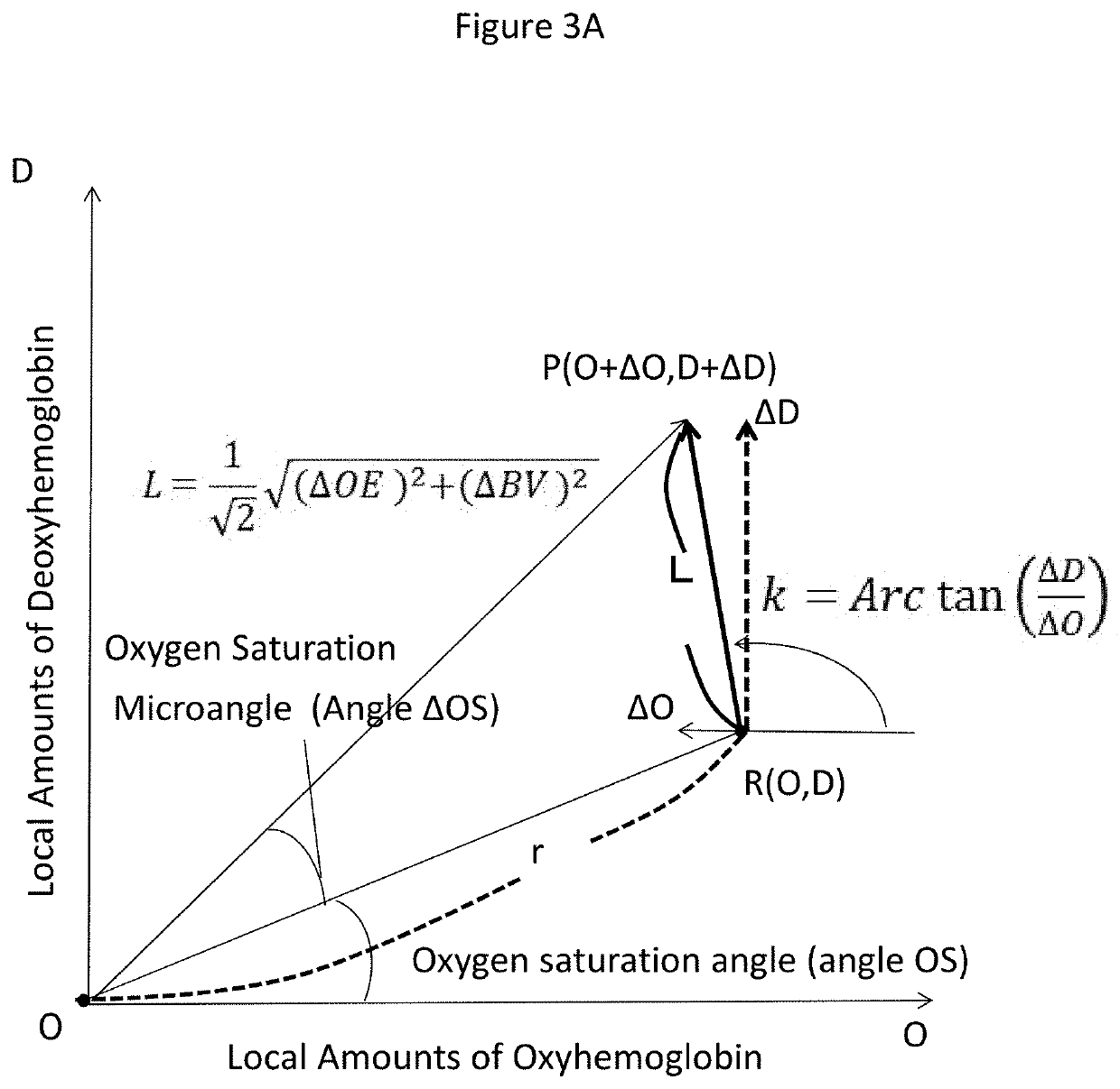 Apparatus for measuring biological function, a method and a program for measuring biological function